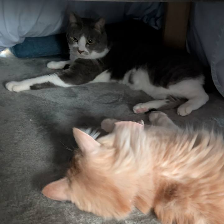 68512ab0 f22f 496d b0fd 752db9c17746 1736379402745