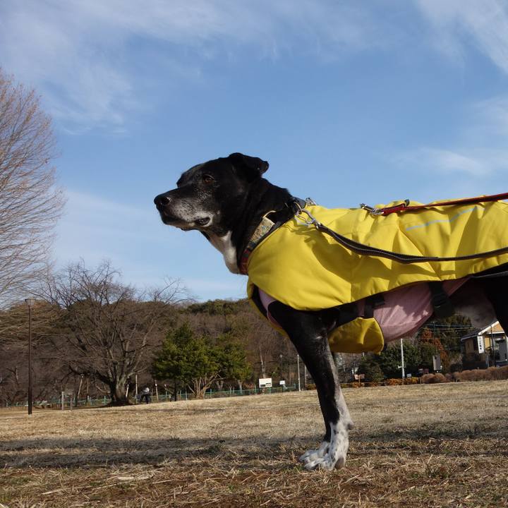 6851390a 6606 41ad bbce 20f5302a8e21 1739322219579