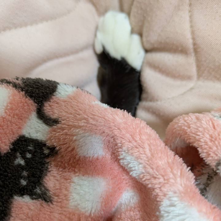 6851743d 6305 4577 a1a7 1d7825bf2cd5 1773489547856