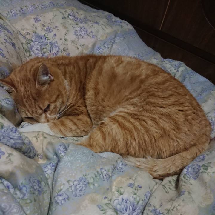 6851a576 b7e2 4a6d bd80 62744d90644e 1579607959314