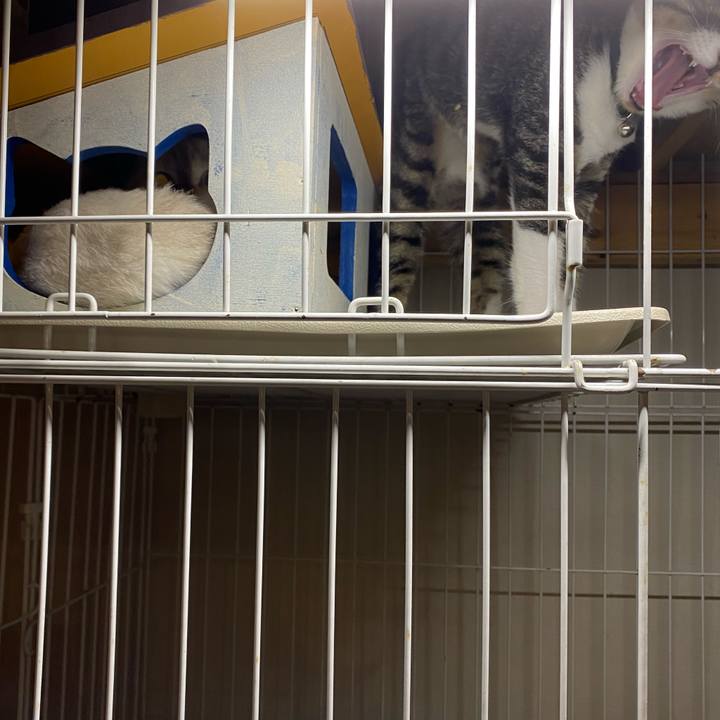 6851b1c5 21a6 44e0 84f0 a29a3b604924 1632821962081