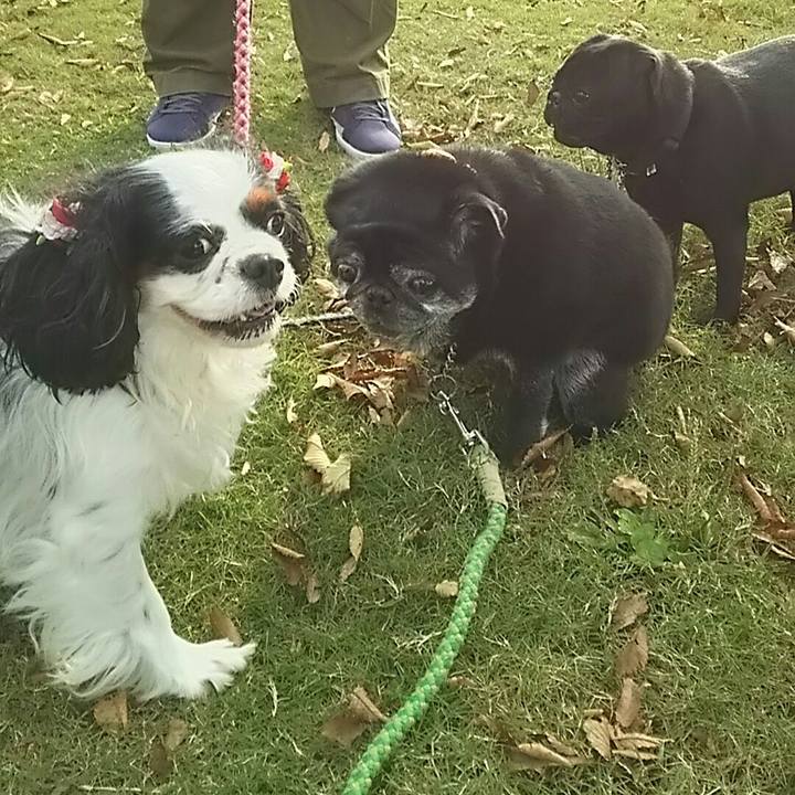 6851fef2 a49c 4508 8abc 0895cd22d36c 1540020350868