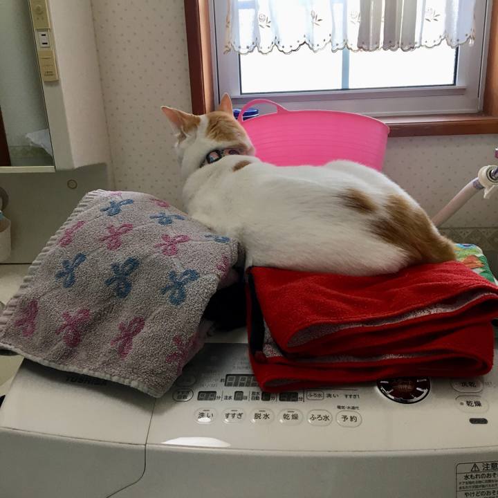 685235ab bd16 4e70 9ac4 104566915ac9 1527922764451