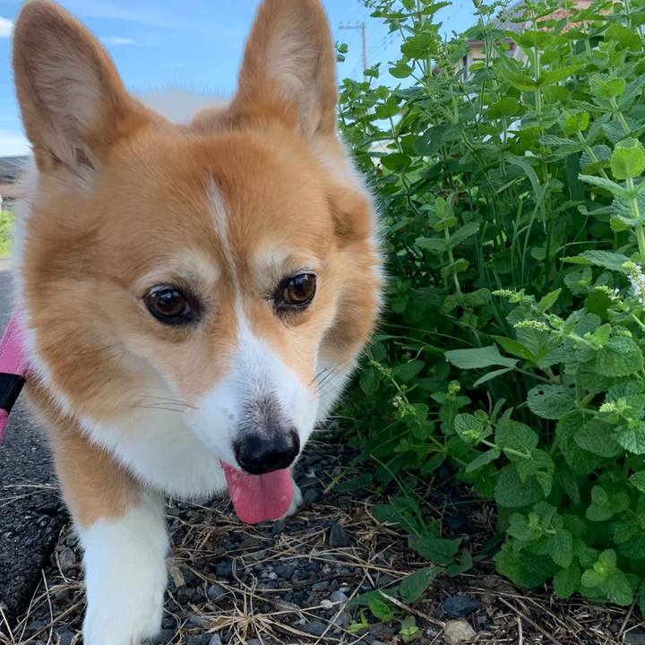 68525741 ecce 46f1 8962 82a03e125f77 1722207460524