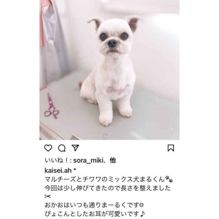 68526317 586c 41a8 94f4 3ecf2c03e837 1614335895751