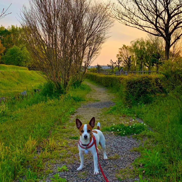 685279c4 3a36 40ce 89a8 51084e2a510c 1586947465566