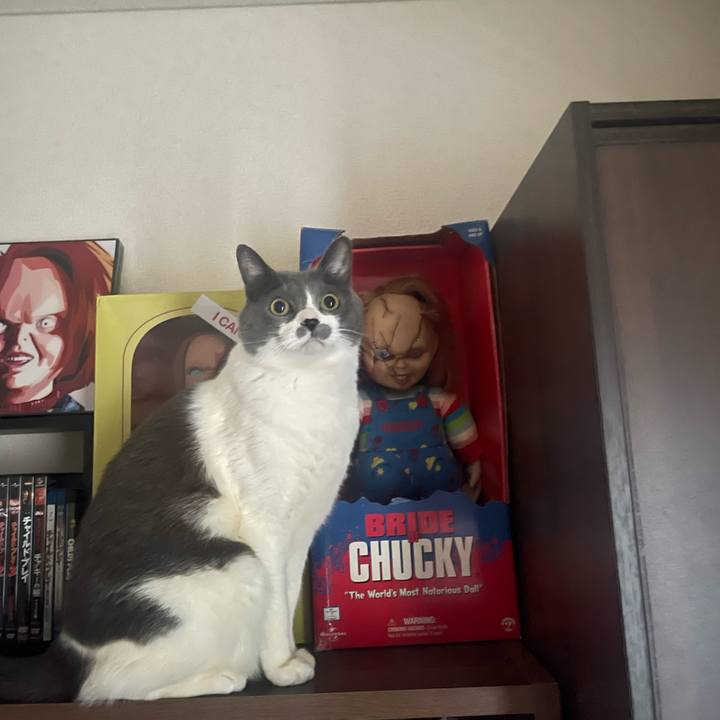 68528c0c 2dce 4be5 ac0e ef3f0833ccc9 1708034275414