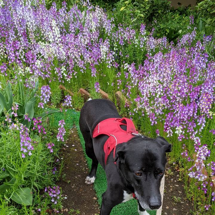 685292a8 2410 4713 ba59 b017583de3e3 1649894821904