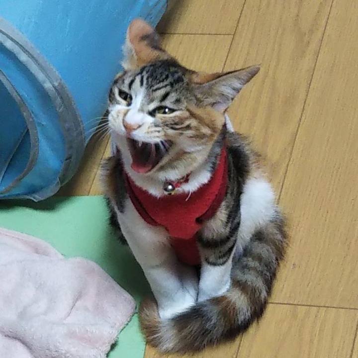 68529907 912f 4f19 b89b d17fbf562f00 1634942308072