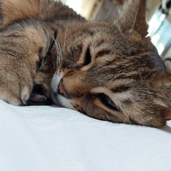 6852c0e1 e6dd 4a14 b11a dfe32442004c 1645832764081