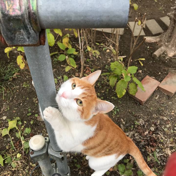 6852c34f 16cf 4857 ab1b 5ccc0b9259b1 1510881257962