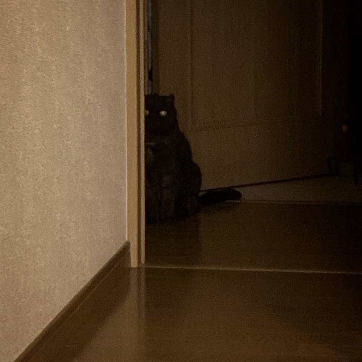 68531e8f 726b 4aa3 a86a 07cb858ba8d6 1629825297100