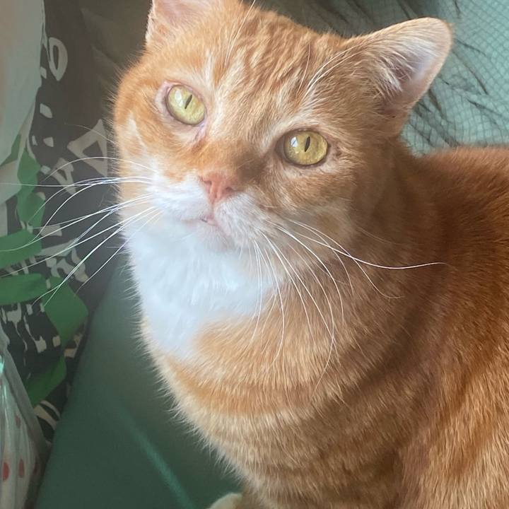 68538ca2 b820 456e 8011 d110db0e840f 1649382391143