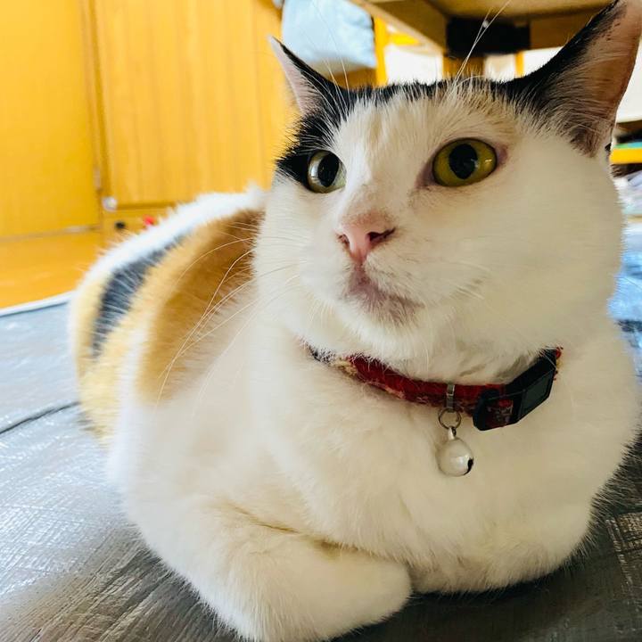 685398d3 32c8 4a48 920d df996f9c1e48 1689544936998