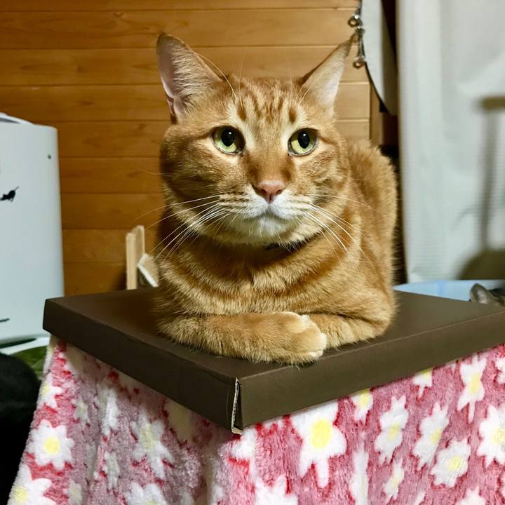 6853c3d8 27aa 4308 aed0 44ba764d518c 1508236652867