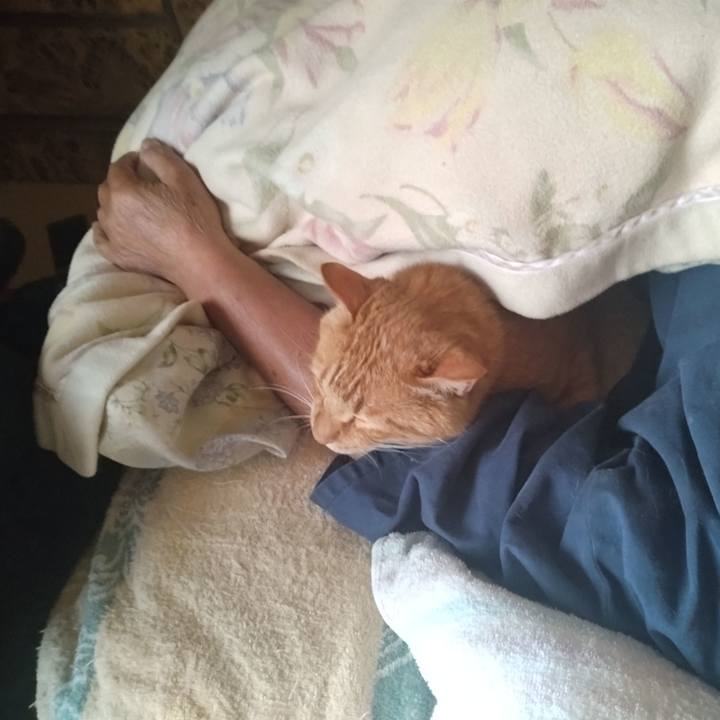 6853cc10 7816 40e2 8f93 98f00460b817 1748900715456