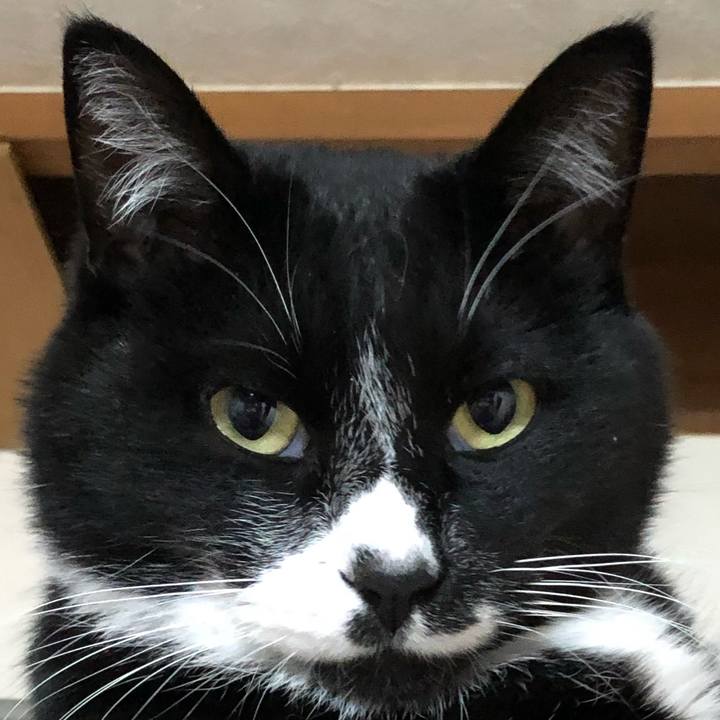 685461fd b461 4bab b6f1 d7526de7e903 1641629602419