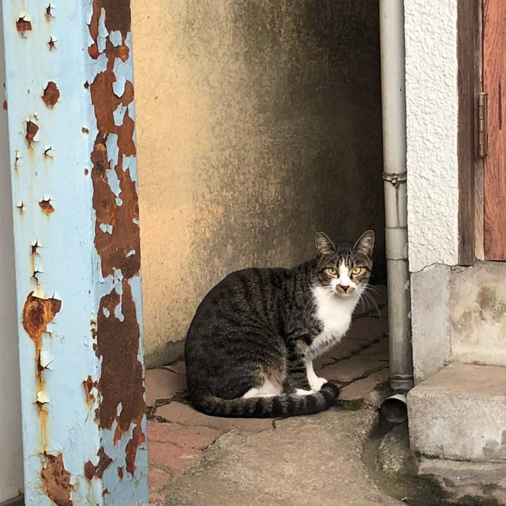 685468fc aebe 41ef 8a15 718a3aae68d3 1538763388488