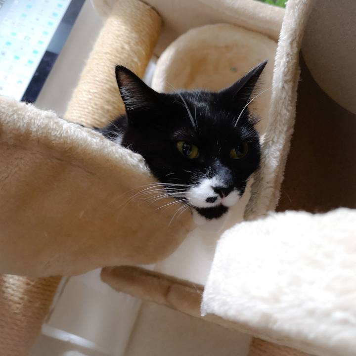 6854a33c 4230 41d2 8f82 910df5e1f6a8 1549639885616