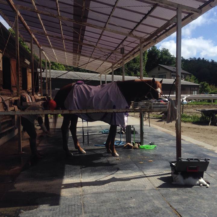 6854b4db d2af 44a3 9dd7 6f5e33bac7e3 1526787601951