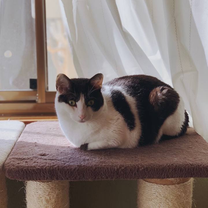 6854beab b7c1 4028 a1e4 dc4138e36113 1557020409783