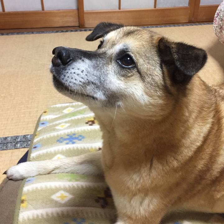 6854c71d cea1 4002 9b3c 277834575db3 1559038711745