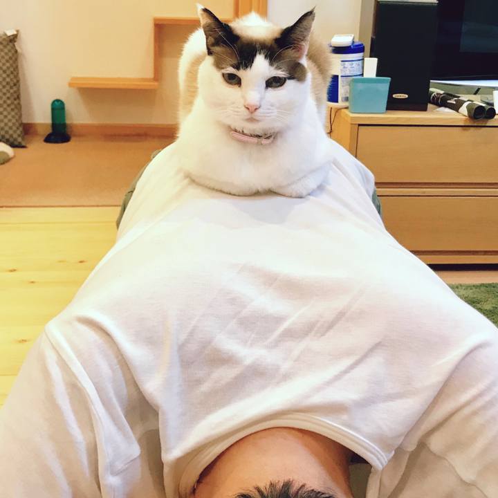 6854d8e0 67b6 4f71 ba4f 2cb54b2a56d4 1523934980716