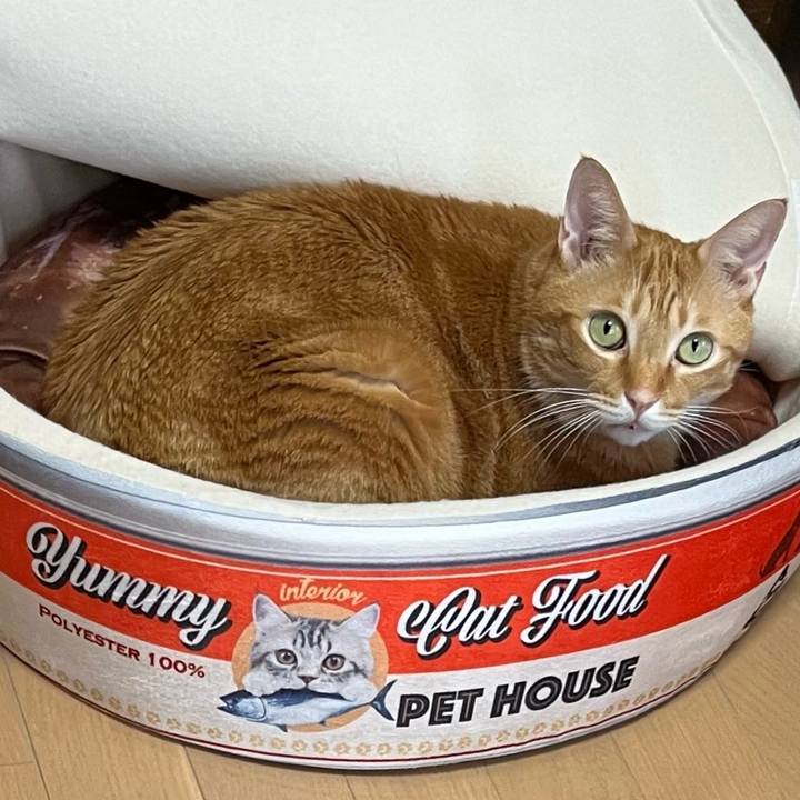 6854fe7b d255 4a6a 8fc8 aa804524b64e 1636622069040