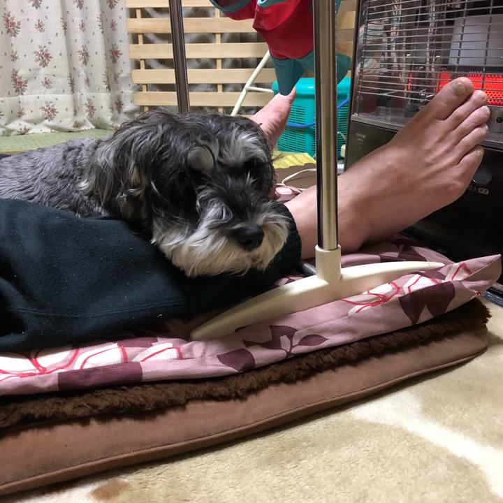 6855052b e0fa 48b7 8276 5c9ce5c78cc4 1512744442729