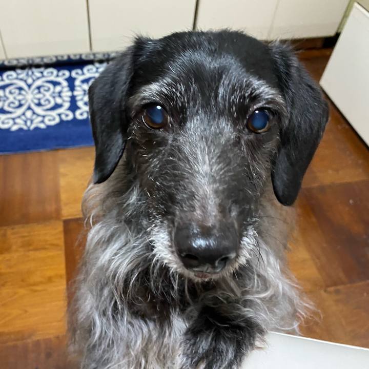 68550c15 1db2 4354 8711 ac24b2afb4a3 1682463873491