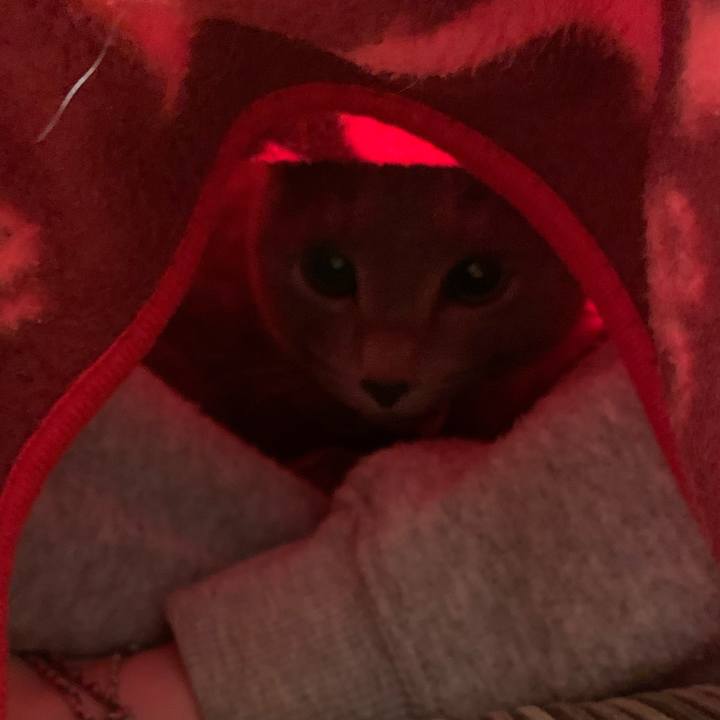 6855a23f b304 4f73 8afd c2c7121d65e8 1579384975387