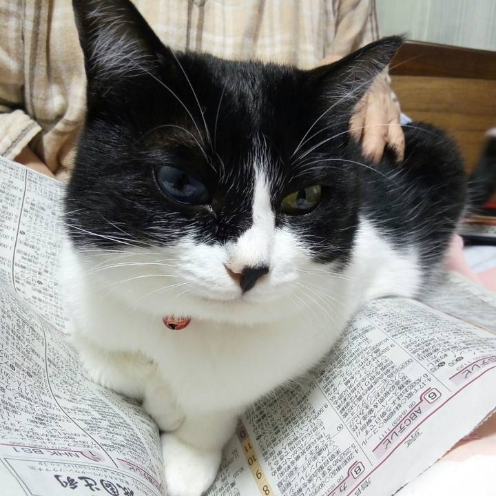 6855d1cd 507a 4b4b b8bf 3be7e5c4c7cd 1528895262920