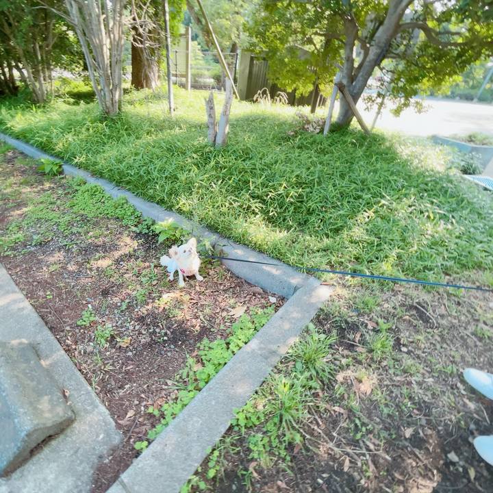 6855f355 1b32 408f 9ebb c259c20e1105 1717250528302