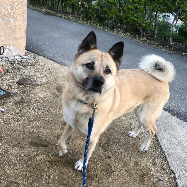 6856133c 0d2b 42f9 b8eb a0bea1abec16 1616417729279