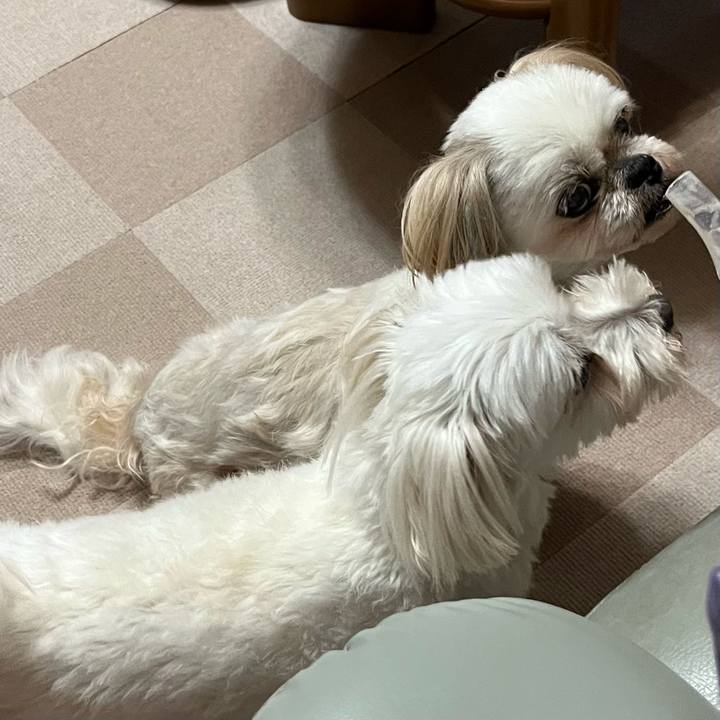 685667e9 22ba 47f1 8d2d 0de102e3eaf6 1656505292643