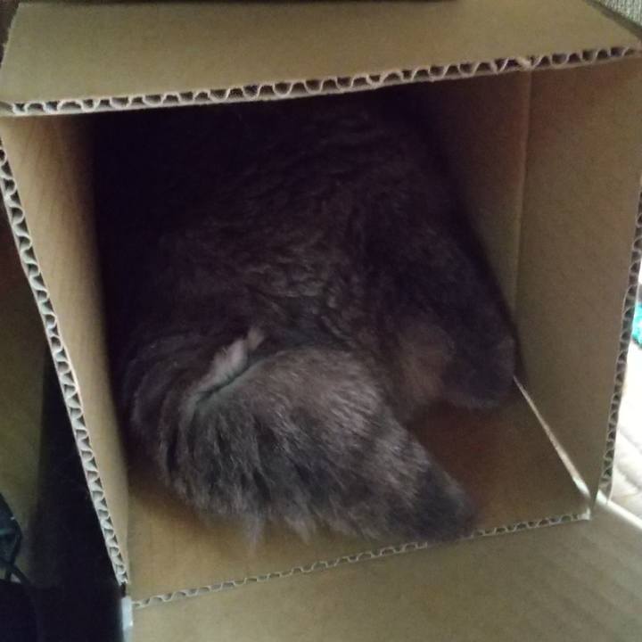 6856a941 dca9 4f1d 8bcd ac36b7b1b040 1696150335711