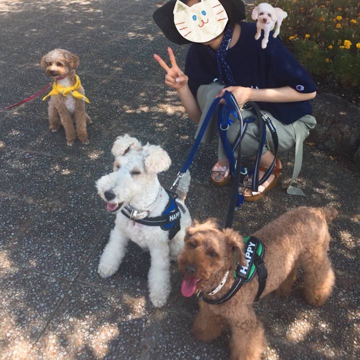 6856c03f 8741 4472 a9c5 ae804fa3f575 1535761787225