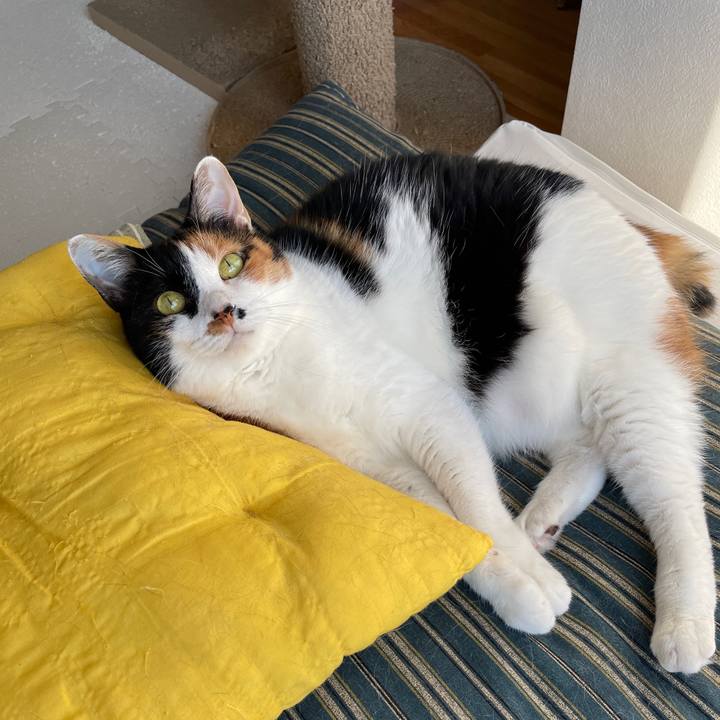 6856f42d b8c9 44e5 a133 4972a9863549 1718318604088