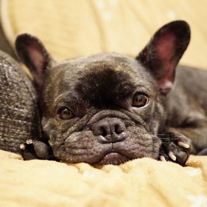 6856f4a9 212b 4d8e 9c4a dc7c1342146f 1531491812442