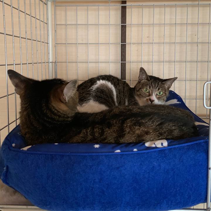 68572569 854e 40b8 ac8e 79e185cdbc21 1564184888329