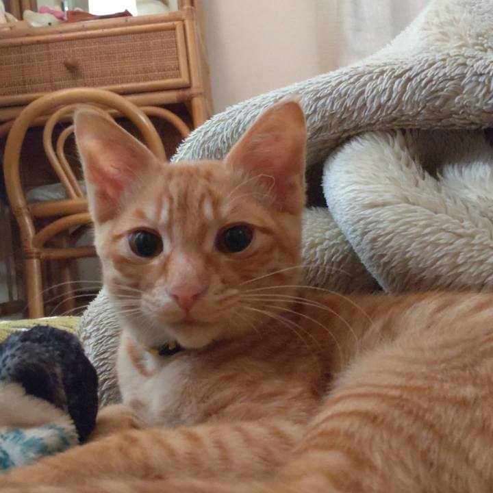 685725c9 74a3 4942 8299 ea3c02d95816 1673479440496