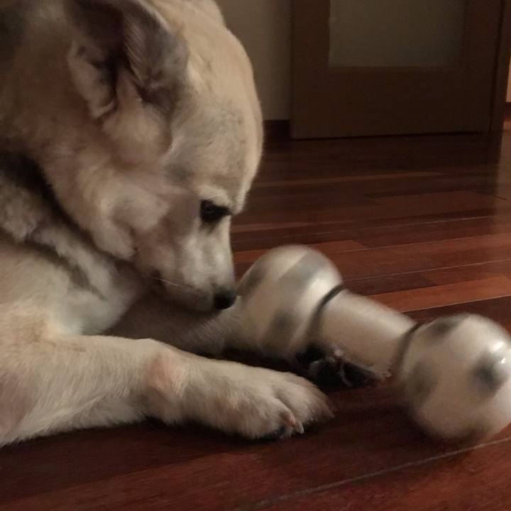 68572632 8f72 488d 8550 04e6132adb0d 1571571468106