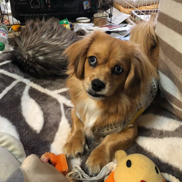 68575424 2afa 4889 9c5a 7314e88ea2bb 1514070710036