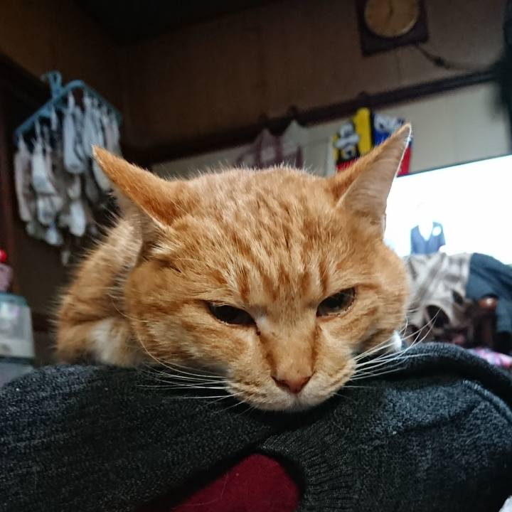 68577bf5 236d 4790 a61f c0f39fa26e7a 1578434469901