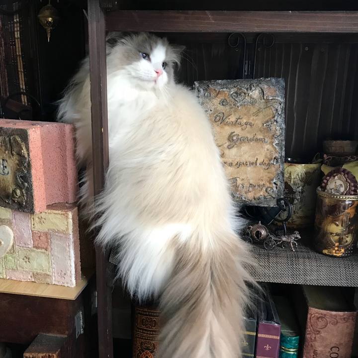 68578e2d 35e1 4286 b451 21b3ad8d576a 1580894723068