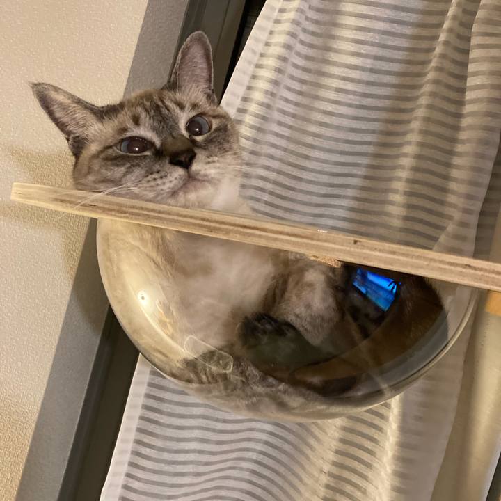 6857ceb1 21ef 46b4 a421 c8f5c7c0a0eb 1664284838235