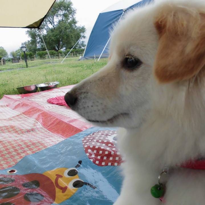 6857d711 ace6 458b 8966 e7d3312f0971 1550243951878