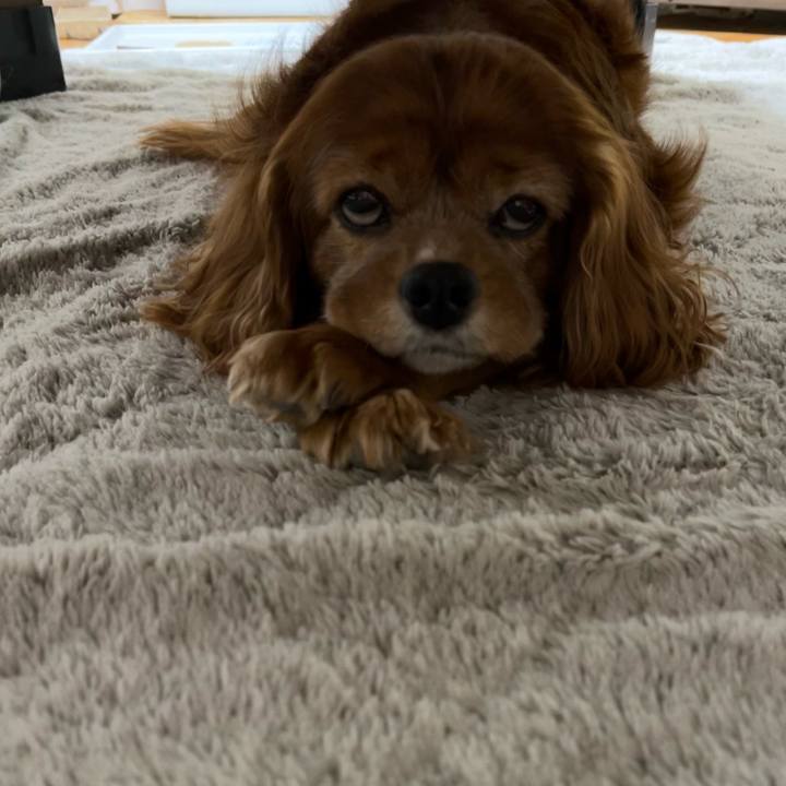 685819f1 951c 4642 ad6f 42a01f36ccc0 1697880775985