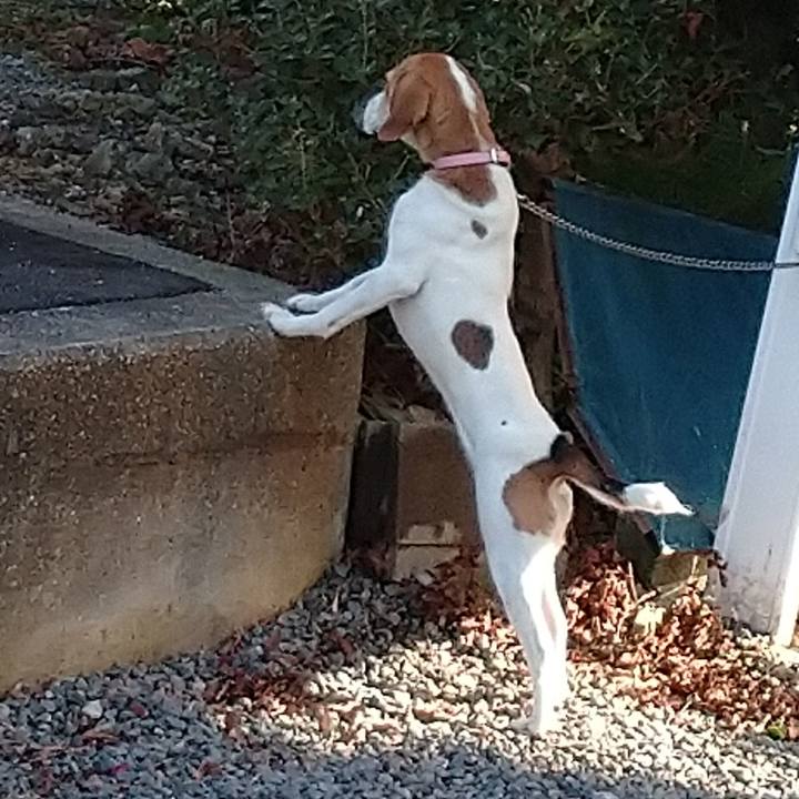 68582682 1477 44f2 98b0 4fdda107ea95 1578455280085