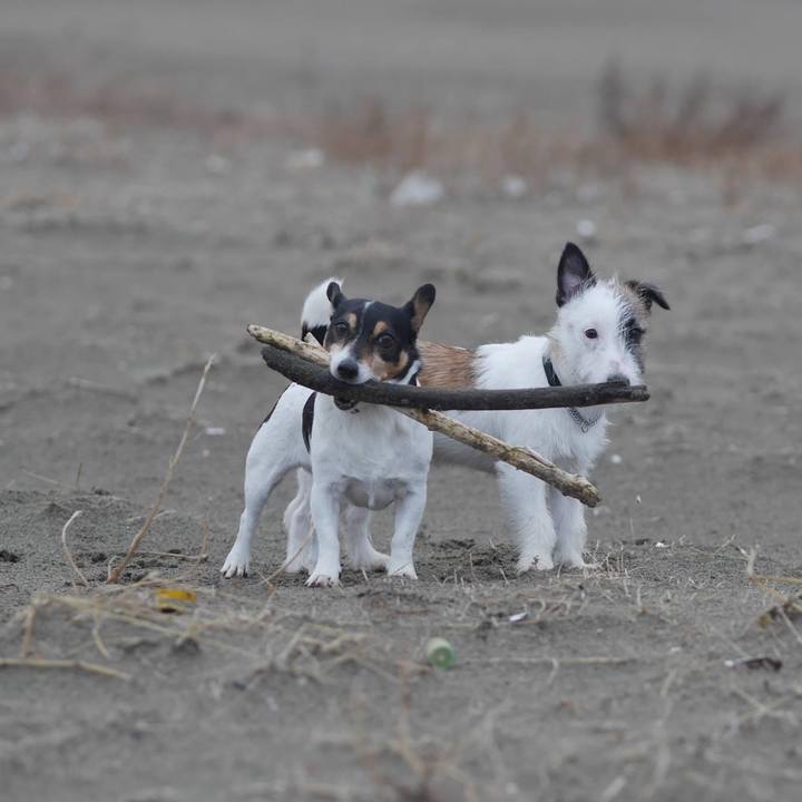 6858303d 35c0 4b0f a720 427ce5004900 1639711118650